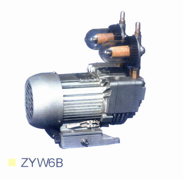 ZYW6B