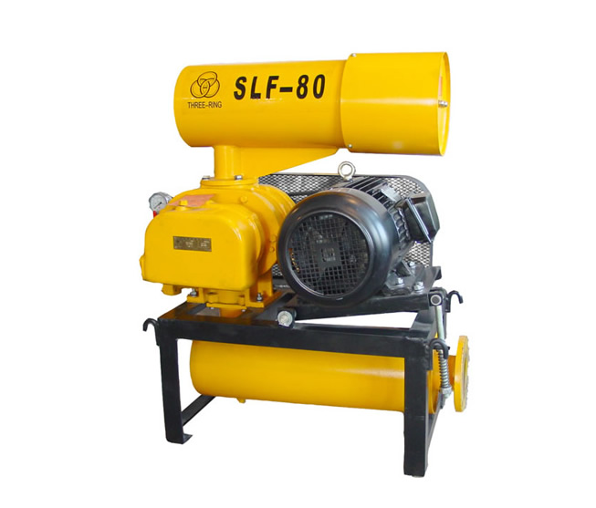 SLF-80-1