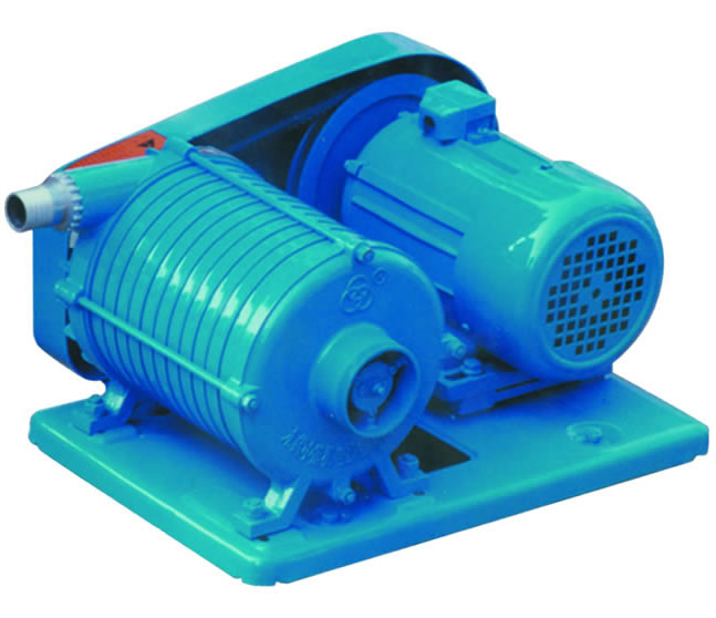 DLB-1-1